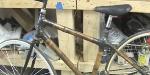 The Bamboo Bicycle