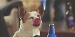 Bud Light Dog-Sitter
