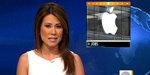 Apple Has More Money than the US Government