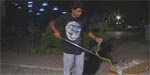 Snake Detective: The Mamba