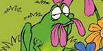 What Do Frogs Eat?