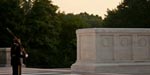 Veterans Day: Honoring Fallen Defenders