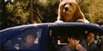 Papa Bear Lovin' It