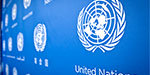 How Does the United Nations Work?