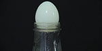 Egg in a Bottle