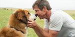 A Dog's Purpose