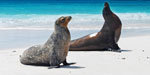Beautiful Galapagos Islands