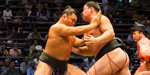 Sumo Wrestling Guide