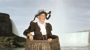 The True Story As Told by Ellen