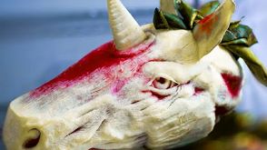 Edible Unicorn -- BiDiPi #52