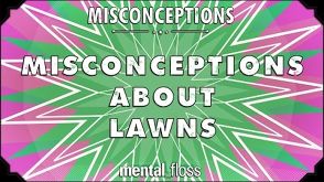 Misconceptions about Lawns - mental_floss on YouTube (Ep. 18)