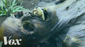 The fascinating process of human decomposition