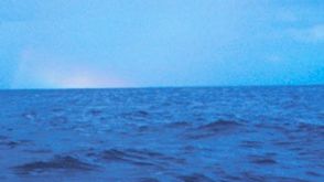 Water Is Amazing -- World Water Day!