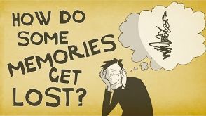 How memories form and how we lose them - Catharine Young