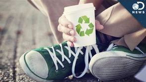 Is Being ‘Green’ Finally Trendy?