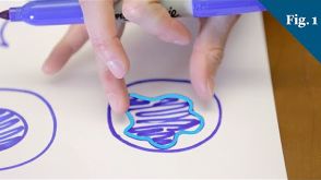 What Does A Cancer Cell Look Like?